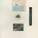 Illustration for article titled How the New York Botanical Garden Digitizes Nearly 300 Plants a Day